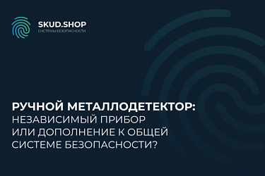 Ручной металлодетектор: независимый прибор или дополнение к общей системе безопасности?