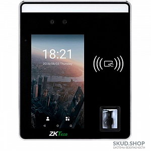 ZKTeco SpeedFace H5